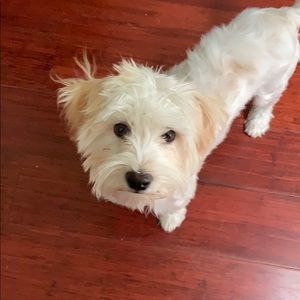 Meet your Posher, Sean